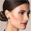 Alpenflüstern Ohrstecker EDW-Strass kristal mini