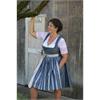 Dirndl Kurz blau - Gr.54