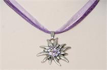 EDW gross/4fach/Org. - flieder EDW gross/4fach/Org. - flieder