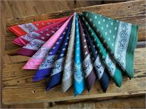 Glarnertüechli - cyclam Glarnertüechli - cyclam