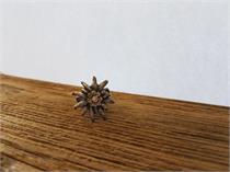 Trachtenring mit Edelweiss - braun