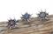 Trachtenring mit Edelweiss - kristall | Bild 3